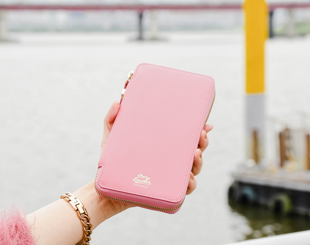 Dakota V3 Travel Case