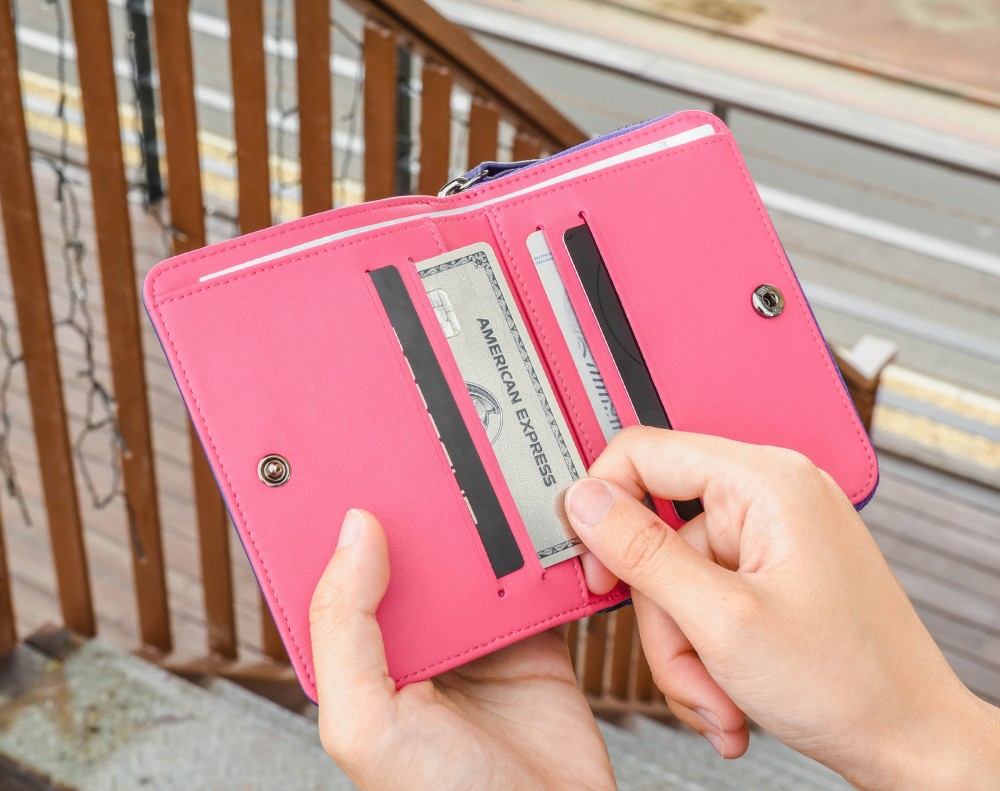 Chamberlin Petite Plus