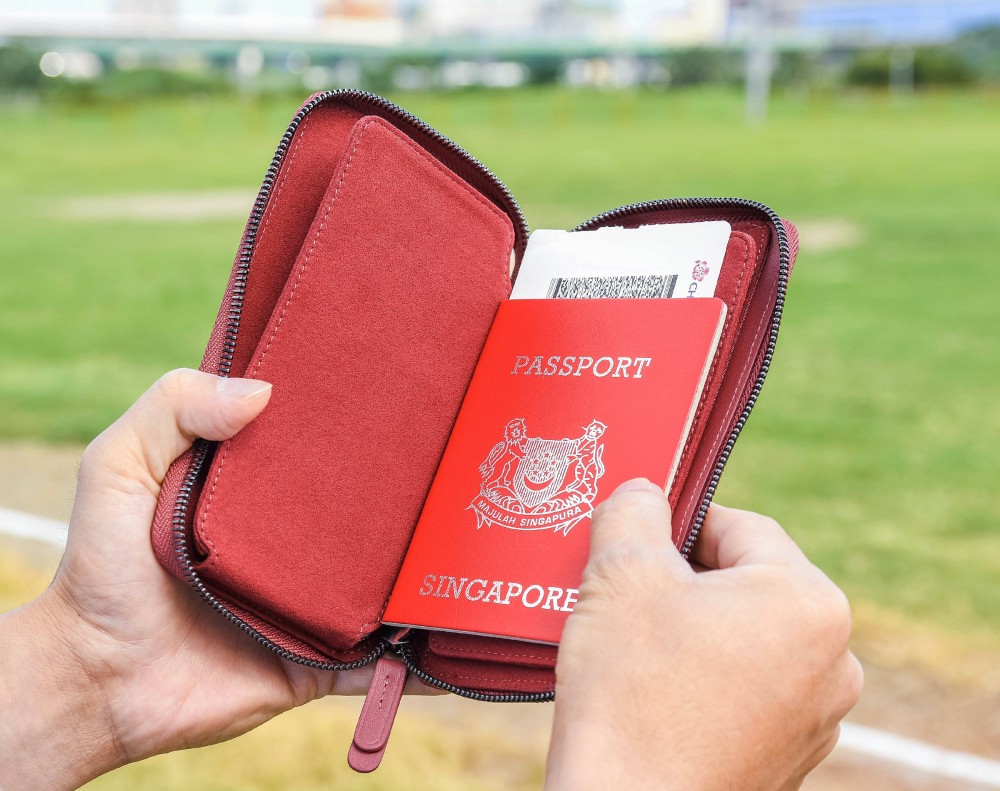 Dakota V3 Travel Case